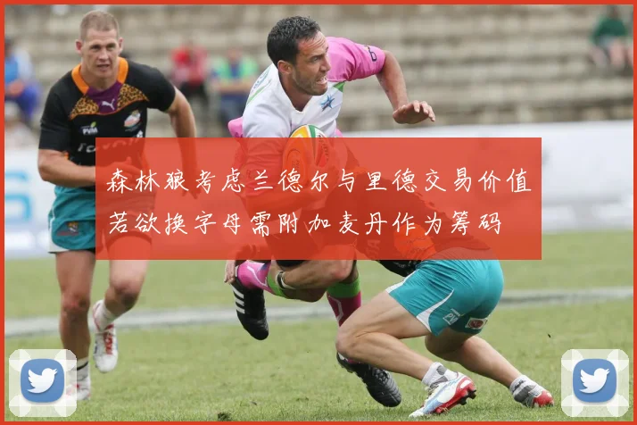 森林狼考虑兰德尔与里德交易价值若欲换字母需附加麦丹作为筹码